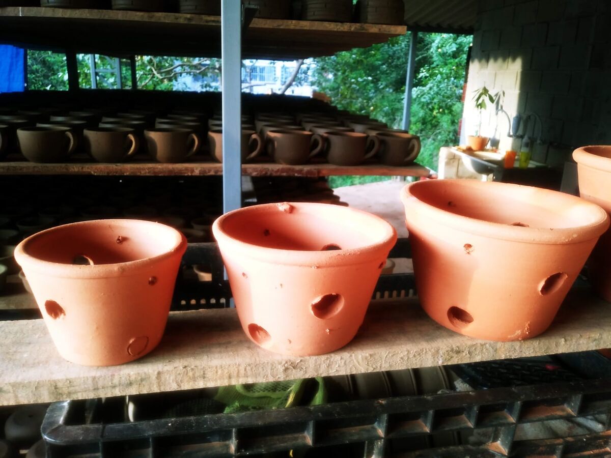 Vasos para orquídeas com furos laterais